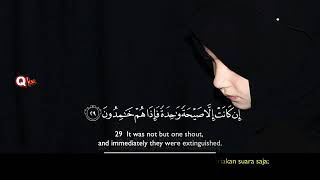 Surah Yasin Yaseen  Most Beautiful Voice  Full With Arabic Text HD  36سورۃ یس [upl. by Toolis874]