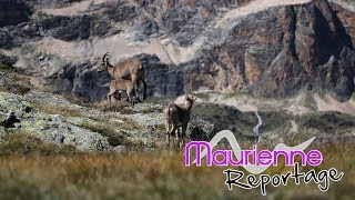 Maurienne Reportage 137  Clip Haute Maurienne Vanoise [upl. by Mauer121]