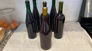 How to stabilize and bottle homemade wine [upl. by Norramic959]