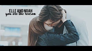 Elle and Noah  im crazy about you [upl. by Daffodil]