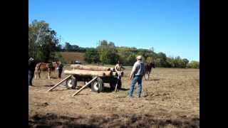 Loading Logs With Mules [upl. by Arihsaj]