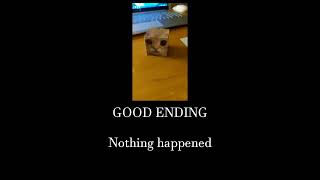 cube cat  el gato meme all endings [upl. by Manno]