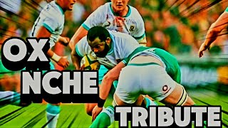 Ox Nche Tribute  Springboks Prop Rugby 🏉 Player  Big Hits Tries amp Greatest Moments rugby [upl. by Ititrefen]