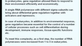 Mod01 Lec01 Eukaryotic RNA polymerases and basal transcription factors [upl. by Nitnerb]