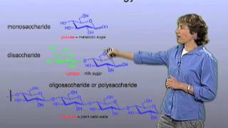 Glycans  Carolyn Bertozzi Berkeley [upl. by Meihar]