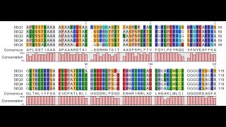 Alignment Tutorial CLC Sequence View Software [upl. by Hopper78]