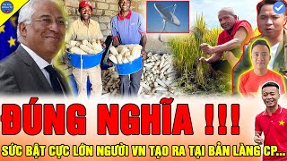 🔴CẢ CHÂU ÂU NGƯỠNG MỘ Team Quang Linh Vlogs BỘI THU NÔNG SẢN CP THOÁT NGHÈO CHỈ SAU 3 NĂM NGẮN NGỦI [upl. by Anod822]