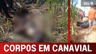 Um mistério cerca os C0RPOS que foram encontrados enterrados em canavial da zona rural Canguaretama [upl. by Arika]