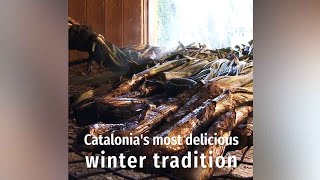 Calçots and the calçotada Catalonias most delicious winter tradition [upl. by Nnorahs]