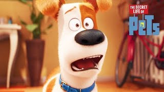 The Secret Life of Pets Full Movie Facts And Review  Hollywood Movie  Full ExplainationKevin Hart [upl. by Anerok]