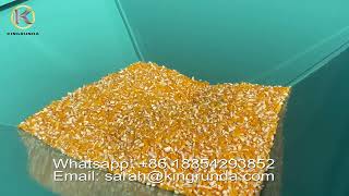 2023 Best sell 500kgh Corn grits machine maize milling machine in Nigeria [upl. by Streeter]