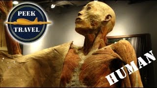 Plastination of Human Remains [upl. by Short]