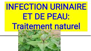 INFECTION URINAIRE ET DE PEAU  Traitement naturelefficace et moins coûteux [upl. by Eitsirhc]