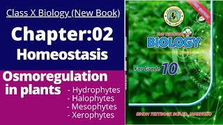 Ch2 Homeostasis  Osmotic adjustment in plants  class 10 new biology book  Sindh textbook board [upl. by Aroled564]