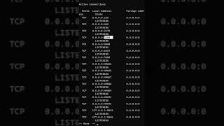 1 Minute IT The Netstat Command shorts [upl. by Sada]