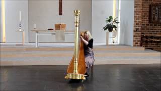 Harpist Regina Ederveen plays The Minstrels Adieu to his Native Land on harp [upl. by Telrats]