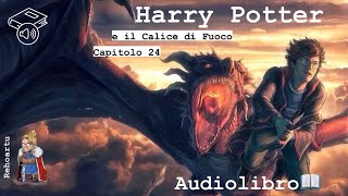 Audiolibro  Harry Potter e il calice di fuoco  Lettura e Commento LIVE Cap 24 [upl. by Yendor191]