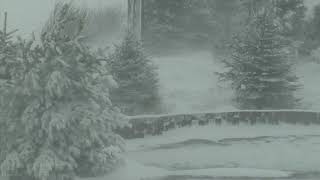 Epic Snowstorm  Howling Blizzard Sounds  Heavy Wind amp Snow  Perfect Sounds For Sleep [upl. by Borgeson]