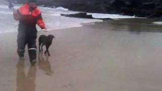 Catching and Releasing a sea caught Sea Trout Ness Isle of Lewis Scotland [upl. by Tolmann]