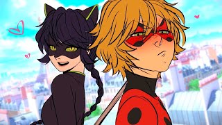 quotFlirty Kittyquot Miraculous Ladybug Comic Dub Animation Compilation  VALORY [upl. by Dulcie]