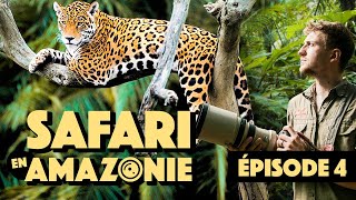 Mission impossible  on traque le Jaguar d’Amazonie   SAFARI EN AMAZONIE  EPISODE 4 [upl. by Attennaj]