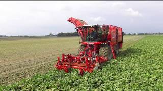 Contractor Jan Koning harvesting beet with their new Vervaet Q 616 [upl. by Lemkul]