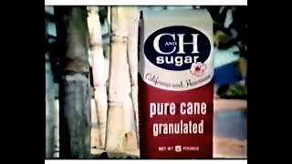 CampH Pure Cane Sugar Commercial 1976 [upl. by Llenor]