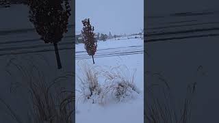 How to Measure Snow Accurately and Verify Your Forecast [upl. by Ditmore]