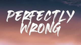 Shawn Mendes  Perfectly Wrong Lyrics 1 Hour [upl. by Katlaps]