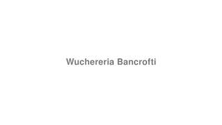 How to Pronounce quotWuchereria Bancroftiquot [upl. by Nilecoj831]