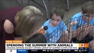 3TV News at Noon Summer Camps [upl. by Butler]