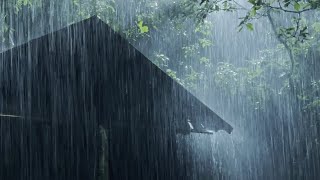 Beat Stress Within 3 Minutes to Sleep Soundly with Heavy Rain amp Thunderstorm on a Tin Roof at Night [upl. by Anaitit641]