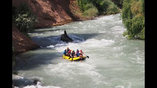 River rafting in Rishikesh rafting riverrafting shorts [upl. by Potash]