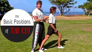 Tai Chi Basic Positions for Beginners [upl. by Kimmy]