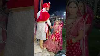 Shaadi se Maa banne tak ka safar durgakataria694 shortvideo youtubeshorts ytshorts shorts yt [upl. by Tompkins]