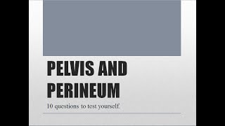 If you can solve these 10 MCQs on PELVIS AND PERINEUM Anatomy you have mastered it [upl. by Tyson]