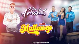 MIX MALLANEP MAR DE AMOR [upl. by Cicely752]