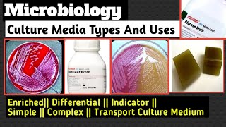 Microbiology Culture Medium With Example Bacterial Culture Medium Classification And Composition [upl. by Gnilrits]