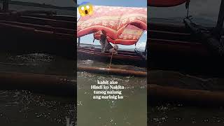 Anong isda kaya Ang nakita mo sealife doglovers shortvideo [upl. by Reggi]