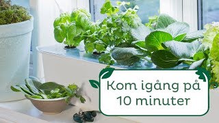 Kom igång på 10 minuter – hydroponisk odling med Harvy [upl. by Goldi]