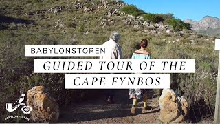 Guided Tour Of The Cape Floral Kingdom At Babylonstoren [upl. by Ulrick784]