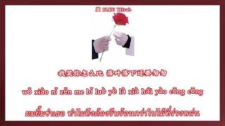 THAISUBPINYIN Bomb比尔 — 0222心动  晚风带着你的笑 懵懵懂懂 [upl. by Alakam]