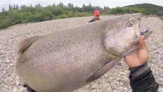 Insane Salmon Fishing on the Kitimat amp Skeena River [upl. by Harriot138]