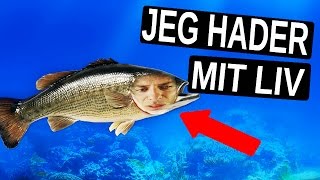 HVIS JEG VAR EN FISK [upl. by Annahsit]