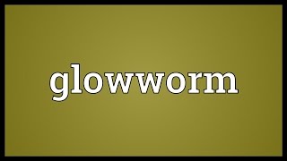 Glowworm Meaning [upl. by Haerdna545]