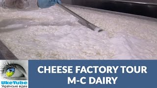 Cheese making MC Dairy plant tour Cottage Cheese Sour Cream Kefir and Dairy  Future Bakery [upl. by Bartolemo]