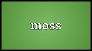 Moss Meaning [upl. by Eilyk]