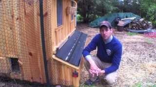 How to stop your chickens from eating their eggs Tips Help ideas [upl. by Aeki967]