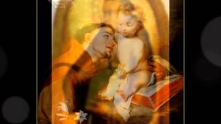 Saint Study St Anthony of Padua [upl. by Kong]