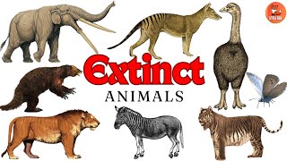 Top 70 Extinct Animals Names in English for kids kidslearning animals reptiles [upl. by Ulyram]